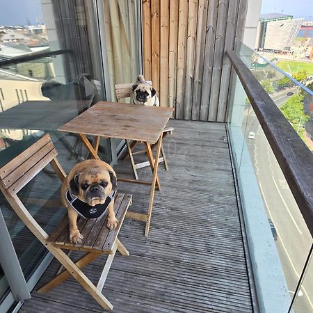 Benji & Milos Apartments Belfast Dış mekan fotoğraf
