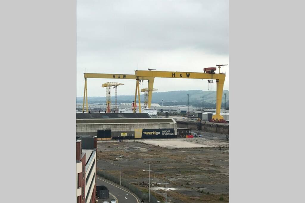 Benji & Milos Apartments Belfast Dış mekan fotoğraf